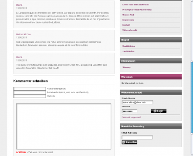 Blogmodul