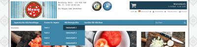 Responsives Template Flex-it